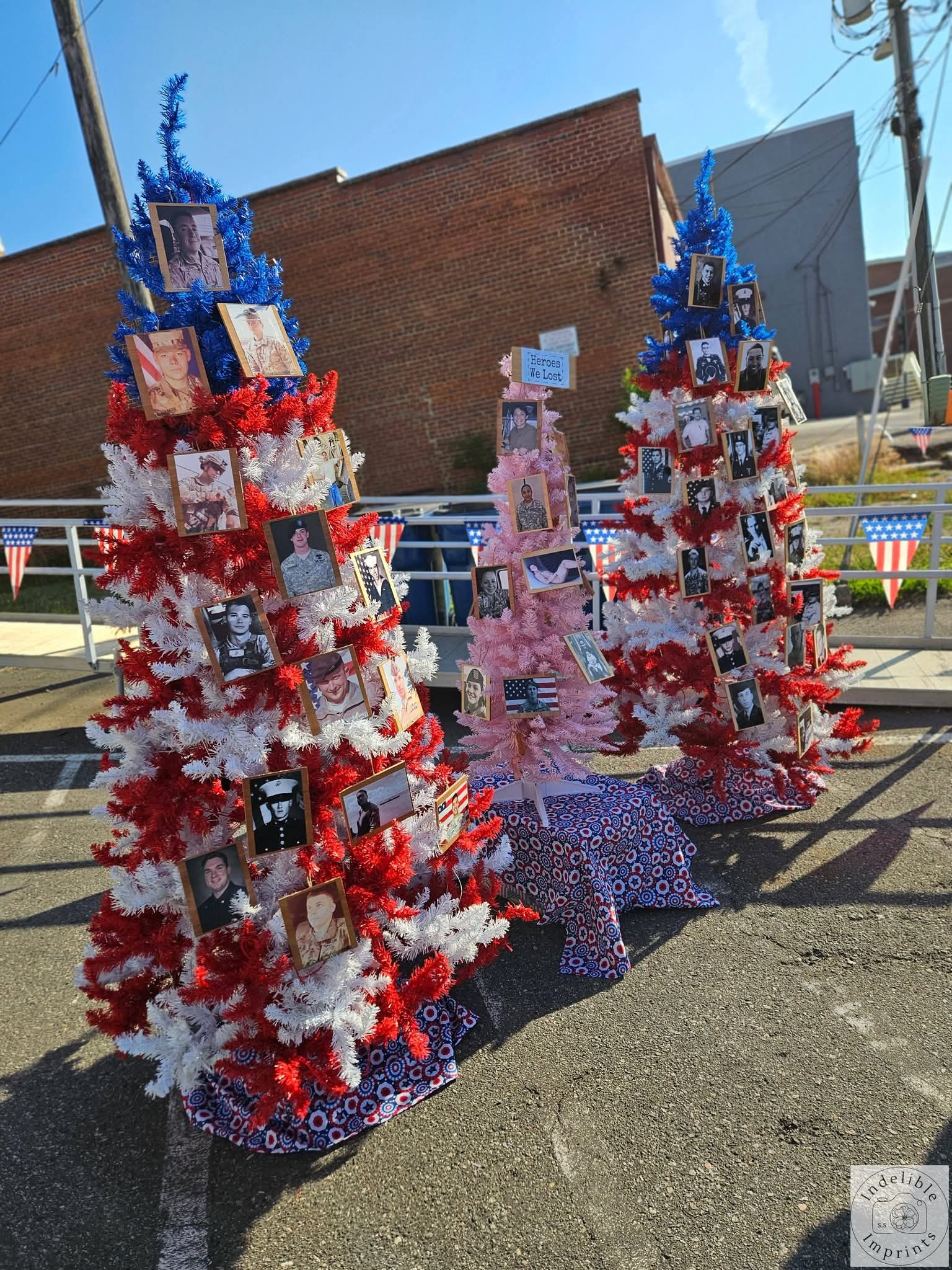 Tribute trees decorated with photos of heroes lost to military suicide