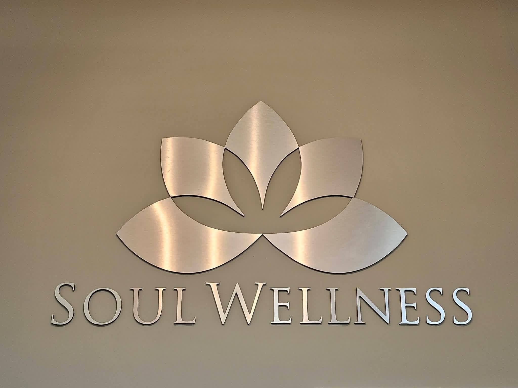 The Soul Wellness sign, host venue for the Balance the Battle Expo